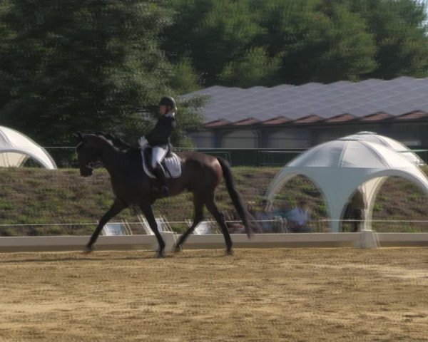 Reitturnier Vorsfelde 2019