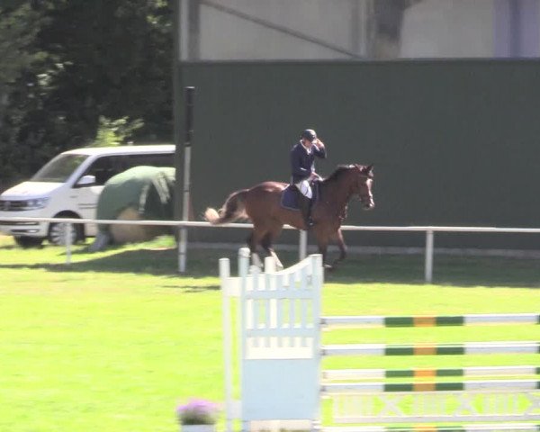 Reitturnier Vorsfelde 2019