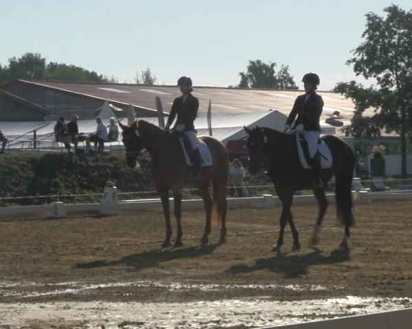 Reitturnier Vorsfelde 2019