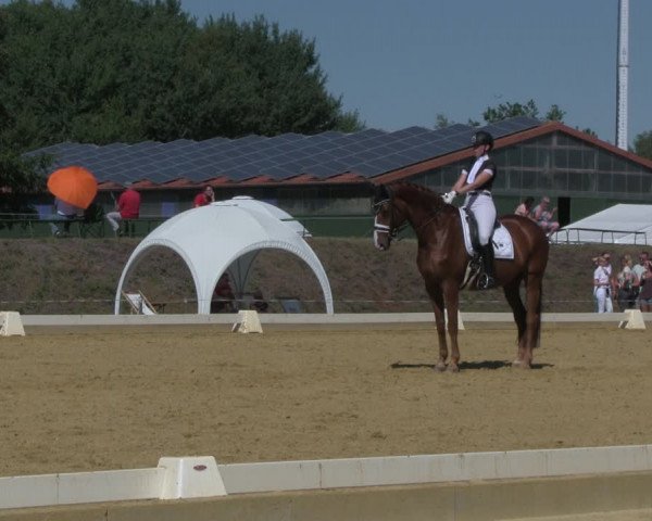 Reitturnier Vorsfelde 2019