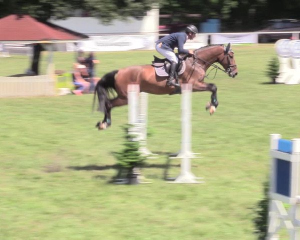 Reitturnier Vorsfelde 2019