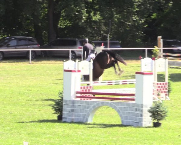 Reitturnier Vorsfelde 2019