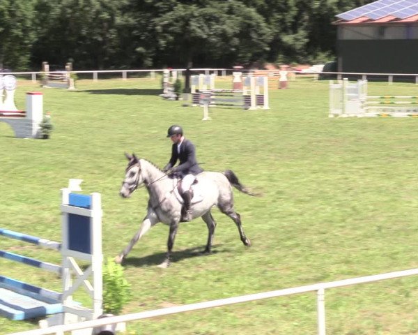 Reitturnier Vorsfelde 2019