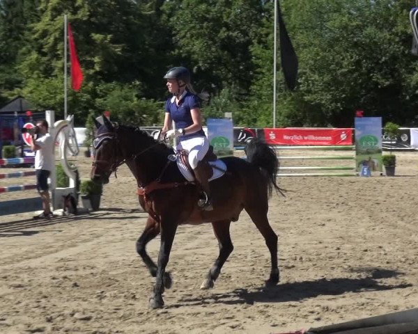 Reitturnier Remscheid 2019