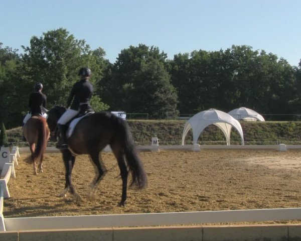 Reitturnier Vorsfelde 2019