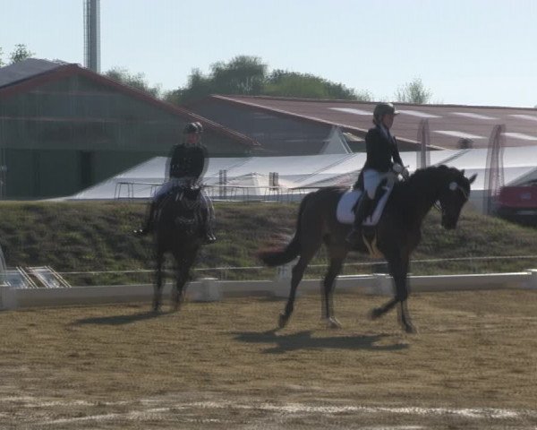 Reitturnier Vorsfelde 2019