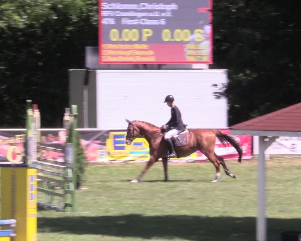 Reitturnier Vorsfelde 2019