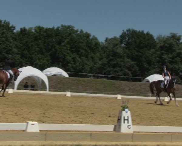 Reitturnier Vorsfelde 2019