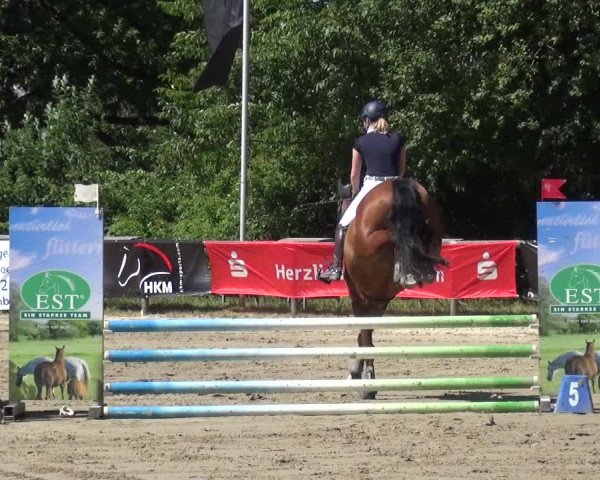 Reitturnier Remscheid 2019