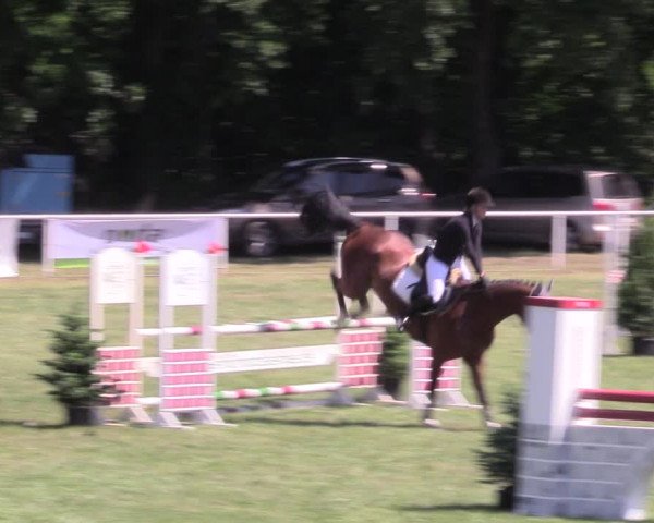 Reitturnier Vorsfelde 2019