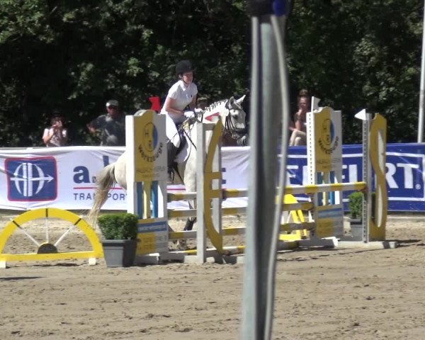 Reitturnier Remscheid 2019