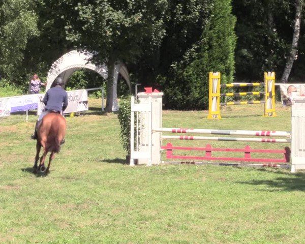 Reitturnier Vorsfelde 2019