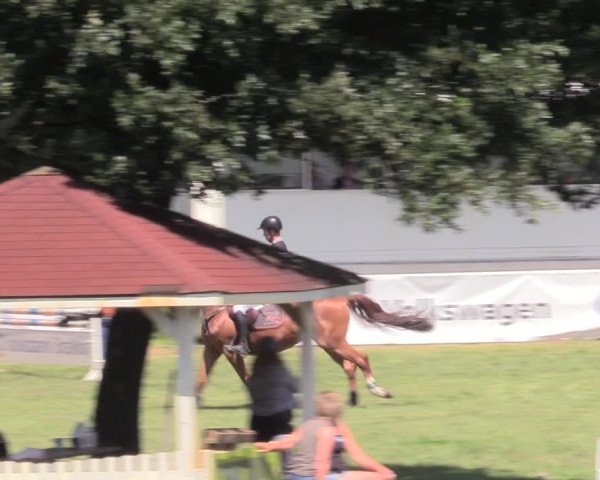 Reitturnier Vorsfelde 2019
