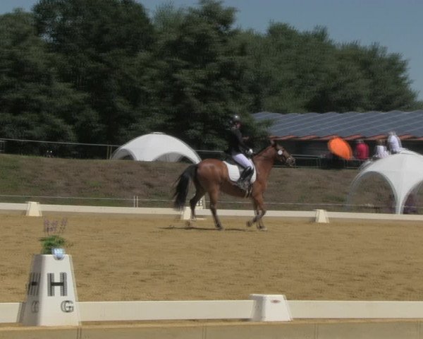Reitturnier Vorsfelde 2019