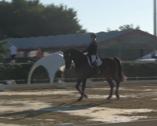 Reitturnier Vorsfelde 2019
