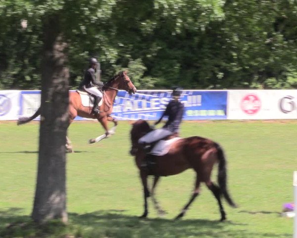 Reitturnier Vorsfelde 2019