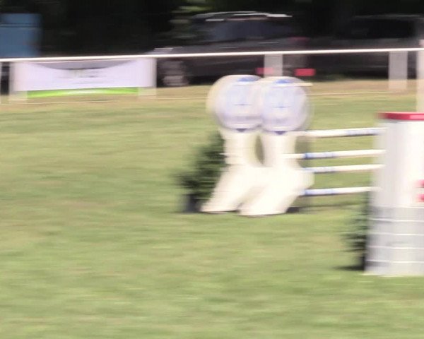 Reitturnier Vorsfelde 2019