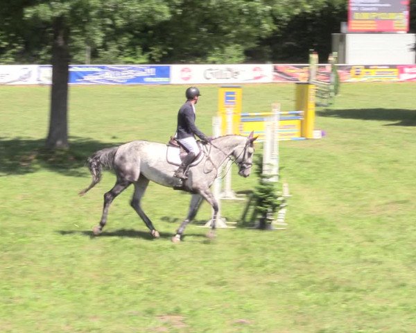 Reitturnier Vorsfelde 2019