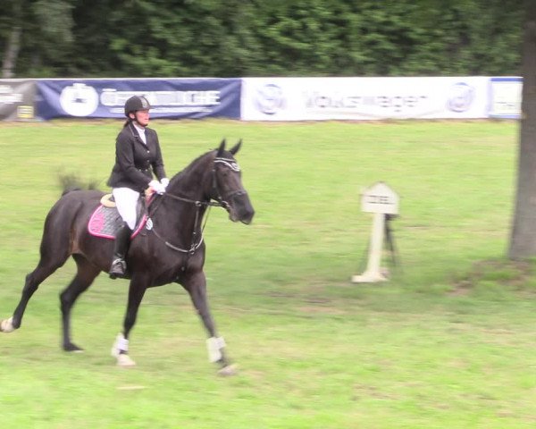 Reitturnier Vorsfelde 2019