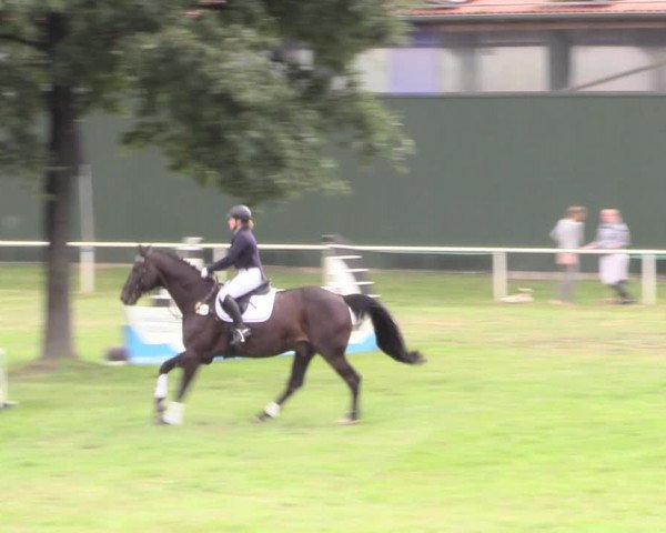 Reitturnier Vorsfelde 2019