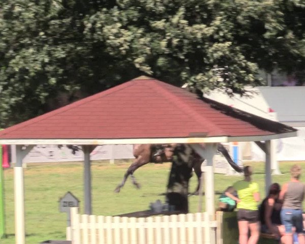 Reitturnier Vorsfelde 2019