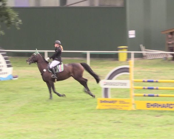 Reitturnier Vorsfelde 2019