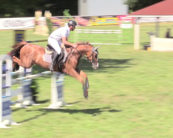 Reitturnier Vorsfelde 2019