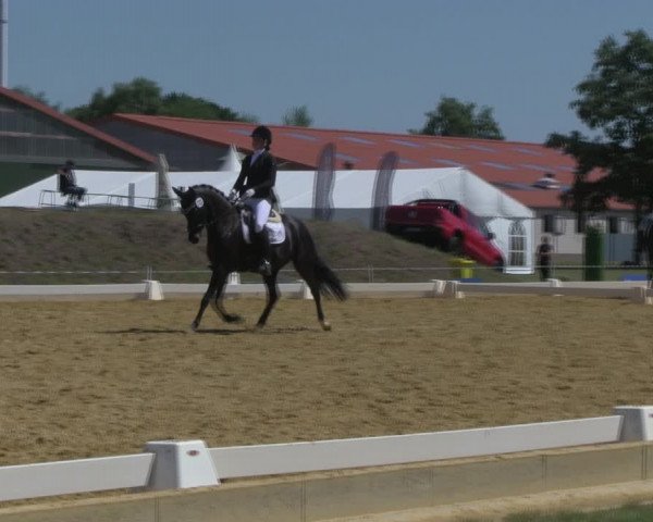 Reitturnier Vorsfelde 2019