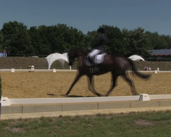 Reitturnier Vorsfelde 2019