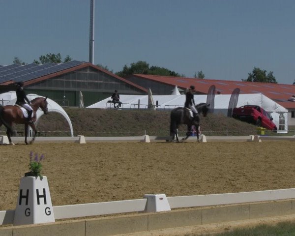 Reitturnier Vorsfelde 2019
