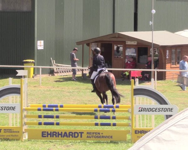 Reitturnier Vorsfelde 2019