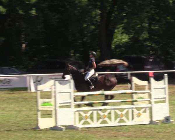 Reitturnier Vorsfelde 2019