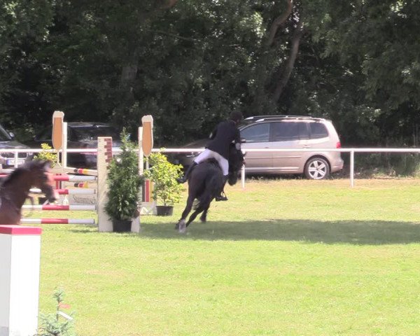 Reitturnier Vorsfelde 2019