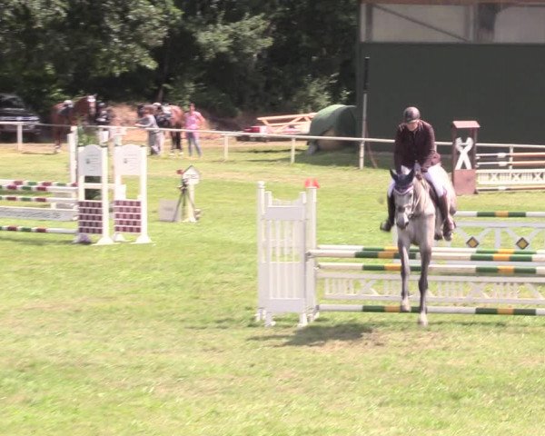Reitturnier Vorsfelde 2019
