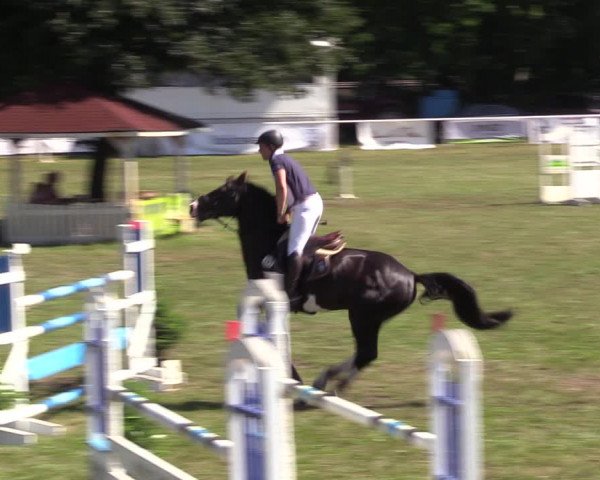 Reitturnier Vorsfelde 2019