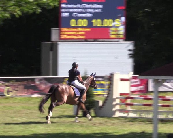 Reitturnier Vorsfelde 2019