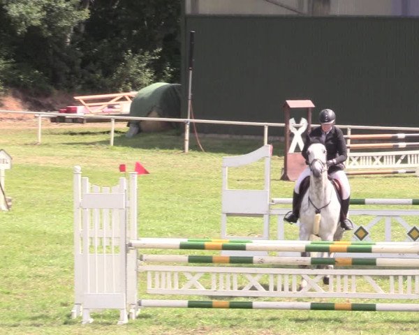 Reitturnier Vorsfelde 2019