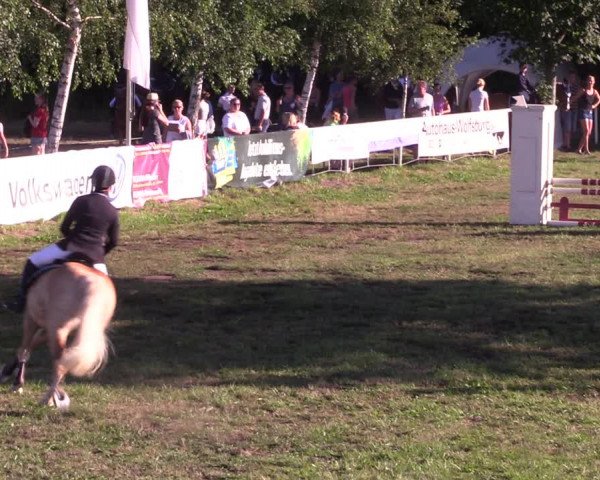 Reitturnier Vorsfelde 2019