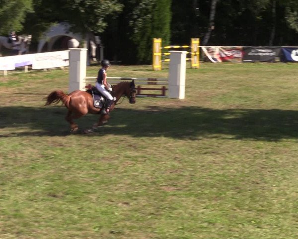 Reitturnier Vorsfelde 2019