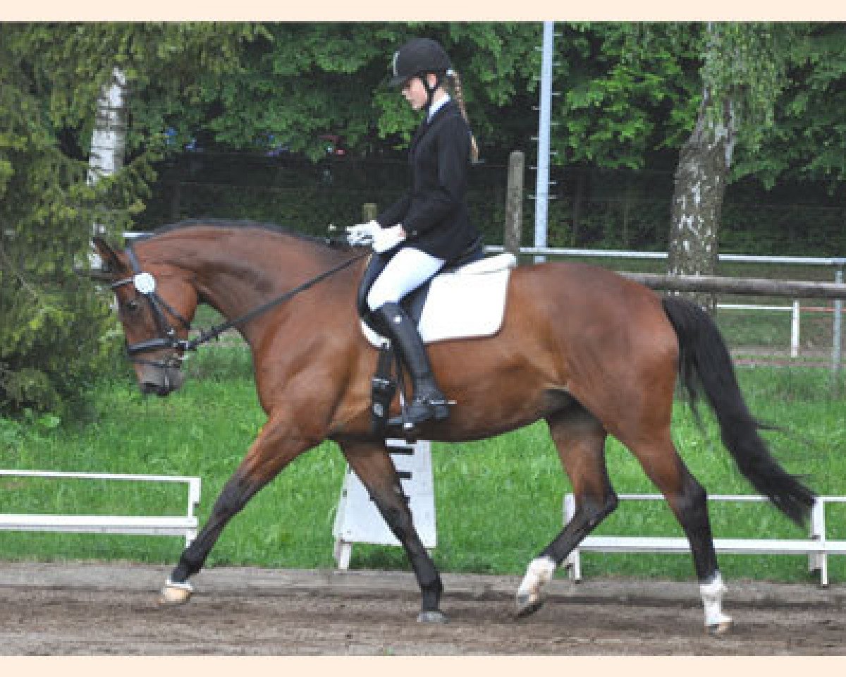 Cheval de Dressage Fiotopia (Trakehner, 2001, de Biotop) - Fiotopia