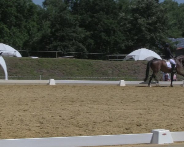 Reitturnier Vorsfelde 2019