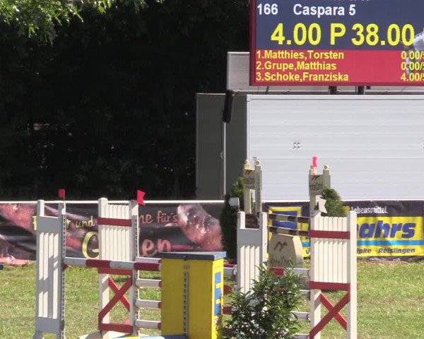 Reitturnier Vorsfelde 2019