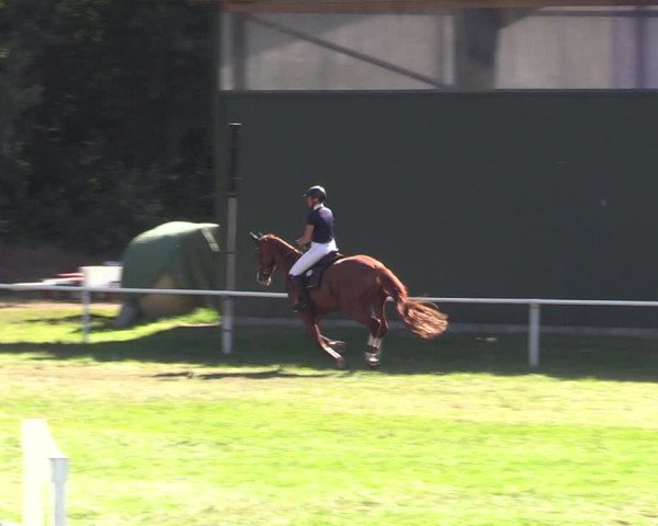 Reitturnier Vorsfelde 2019