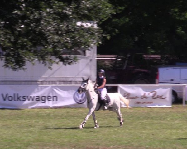 Reitturnier Vorsfelde 2019
