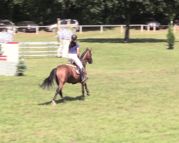 Reitturnier Vorsfelde 2019