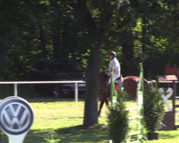Reitturnier Vorsfelde 2019