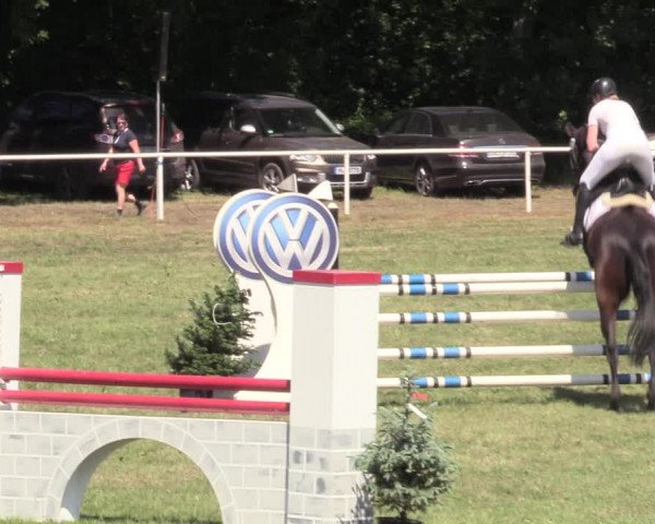 Reitturnier Vorsfelde 2019