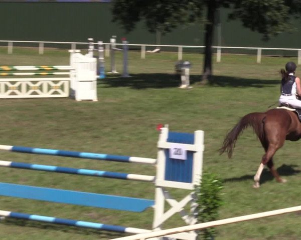 Reitturnier Vorsfelde 2019