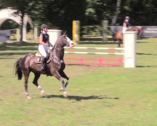 Reitturnier Vorsfelde 2019