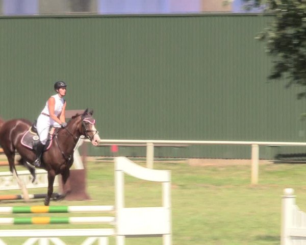 Reitturnier Vorsfelde 2019